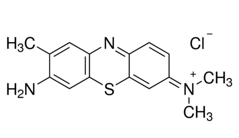 Toluidine Blue 5g